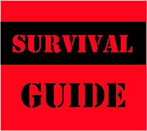 Comic-Con-2/survival-guide.jpg